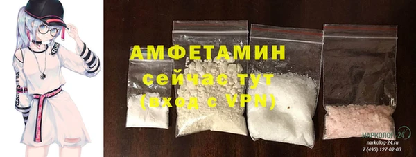 прущие грибы Наволоки