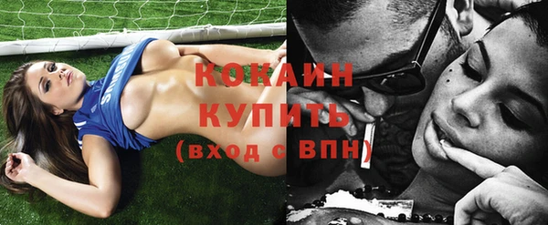 прущие грибы Наволоки