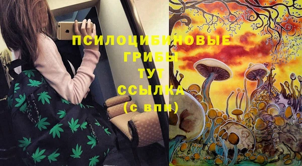 амф Абаза