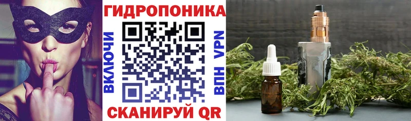 Шишки марихуана OG Kush  Урус-Мартан 